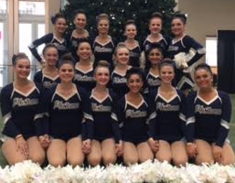 Platinums successful state weekend