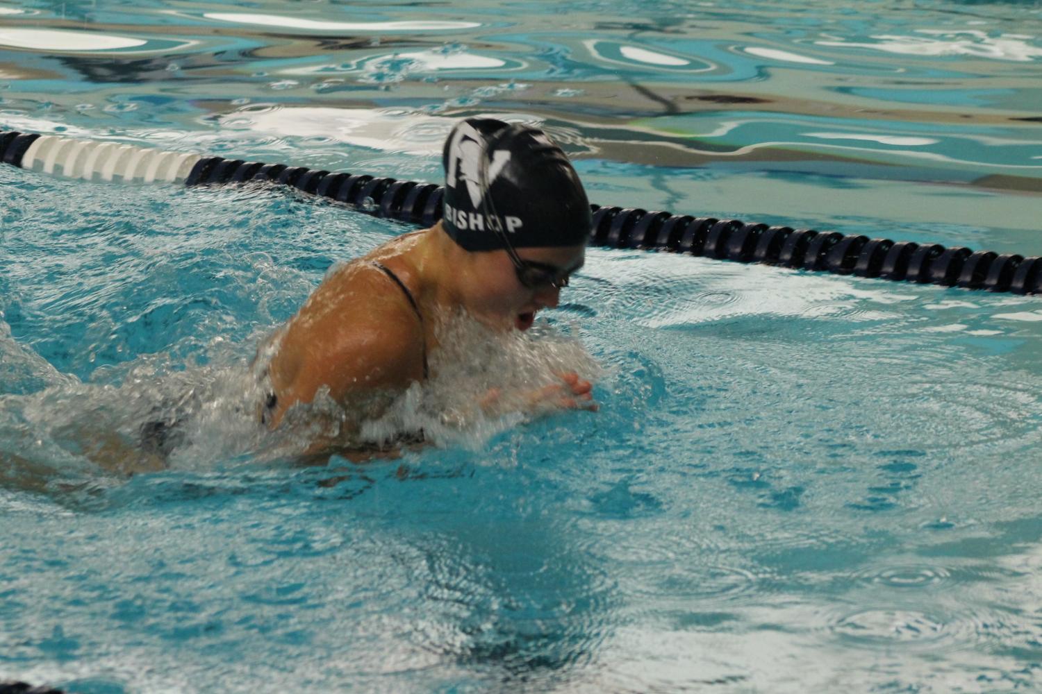 Spartan Swimmers Succeed At State Swimming And Diving Meet – Spartan Shield