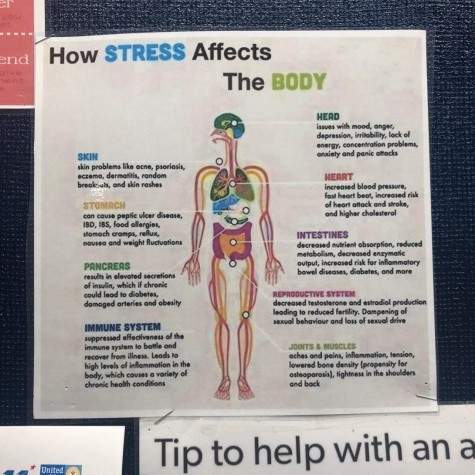 this poster shows how stress affects the body.