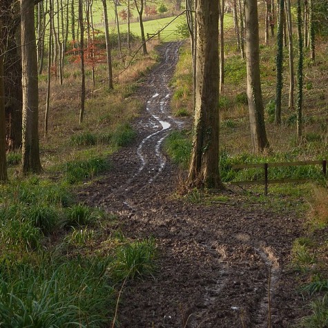 A trail made muddy by the rain.