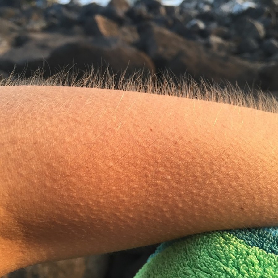 Goosebumps%3A+are+you+scared+yet%3F