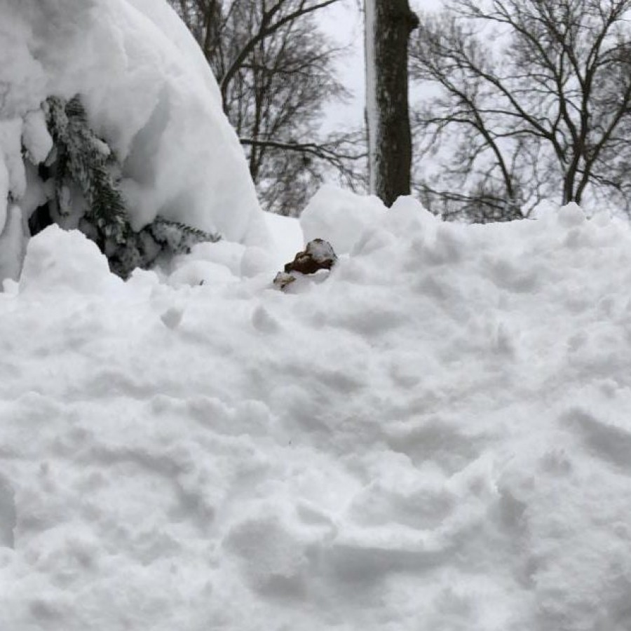 The Quad Cities received over a foot of snow in a matter of hours