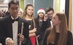 Gender gap in professional symphonies
