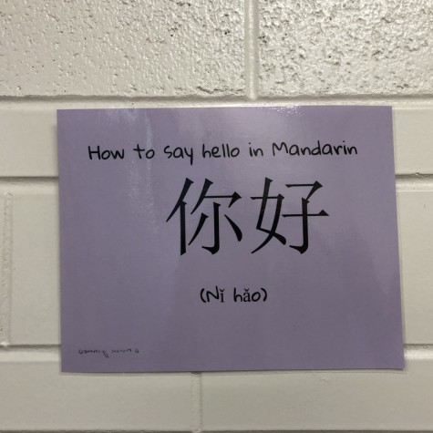 Signs like this put around the school explain how to say hello in different languages.
