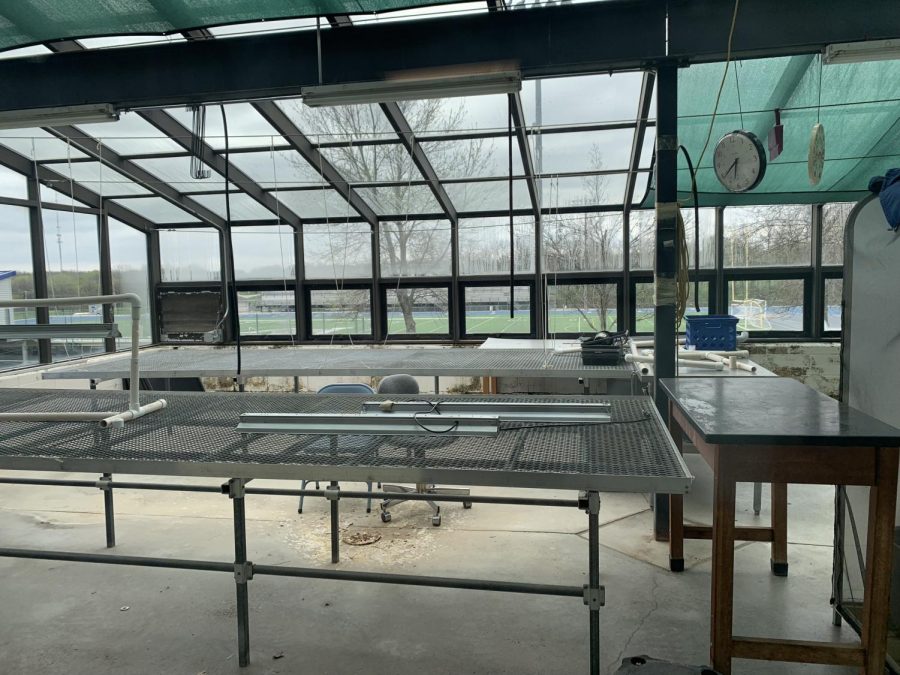 The main greenhouse on the first floor has been empty and in disuse for quite some time.