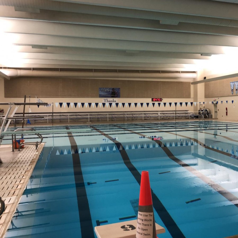 The PV pool bulkhead construction will start in the spring of 2020, along with new starting blocks.