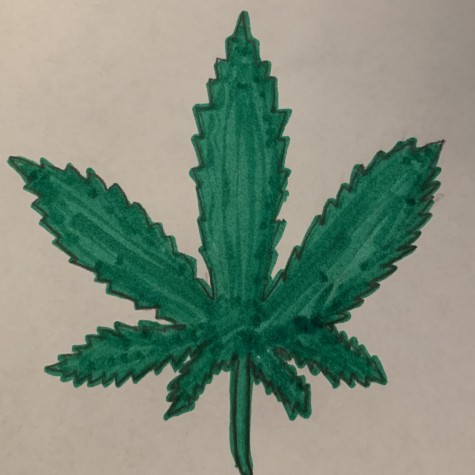 Illinois goes green: legalization of marijuana hopes to boost state revenue