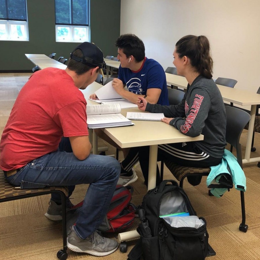 Monmouth College students Andrew Lee, Adam Curry, and Cloey Little working on a project.