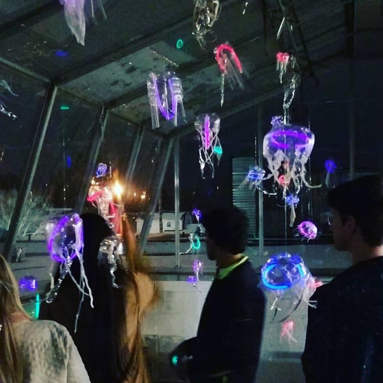  Students gather to take a look at Baucom’s installation at night while the Jellyfish glow. 
