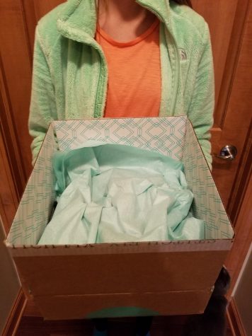 Thinking inside the box: how subscription services are taking over student’s lives