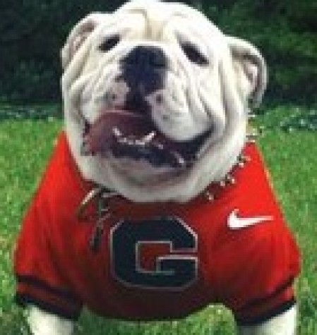 In the dog house: University shamed for live mascot treatment