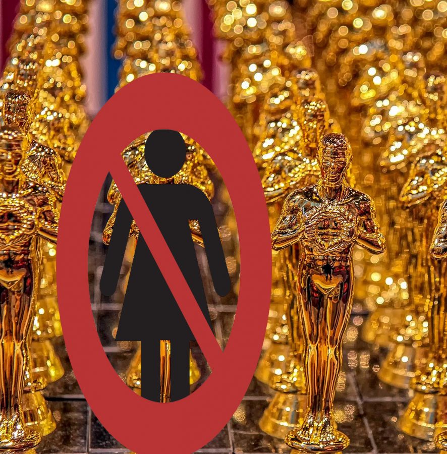  The 92nd Academy Awards aired Sunday February 9th. For Best Director there were no female directors nominated for the award. 
