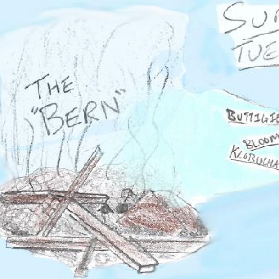 Cartoon by Anton Dahm, showing the results of Super Tuesday.