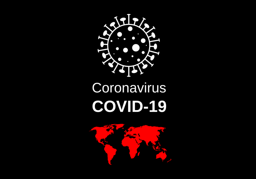 COVID-19, known as coronavirus, was declared a global pandemic on March 11.