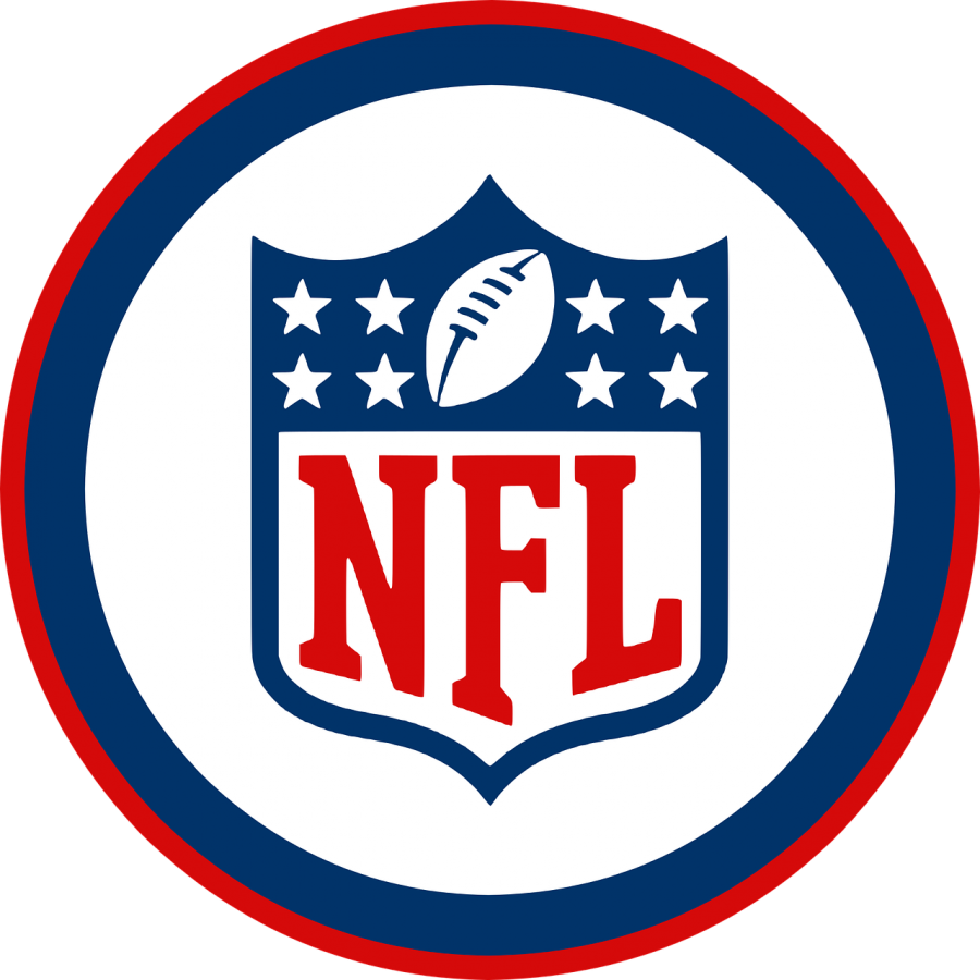 The+NFL+holds+the+2020+draft