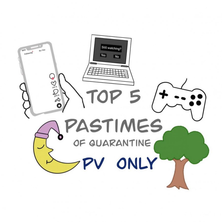 A visual representation of PV students’ top 5 favorite pastime pandemics.