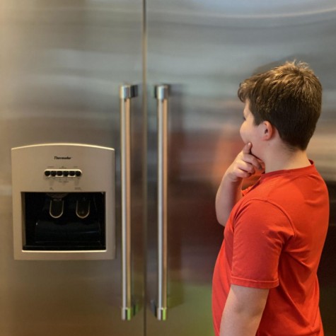 Evan Van Utrecht wonders how fridge works