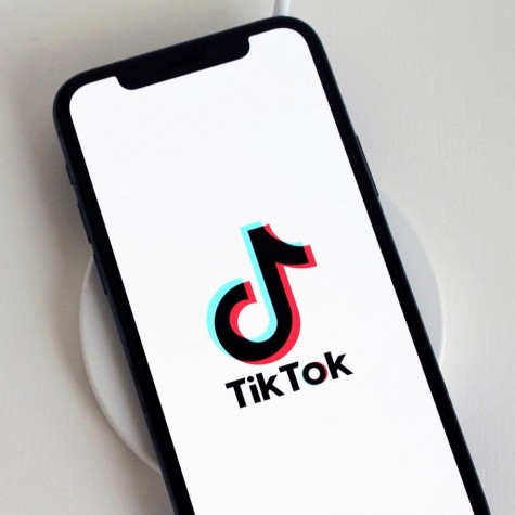 The social media platform TikTok has risen to fame within the past months, as well as the creators on it. Body positivity has become the latest trend on TikTok with creators pushing the message to their millions of followers.