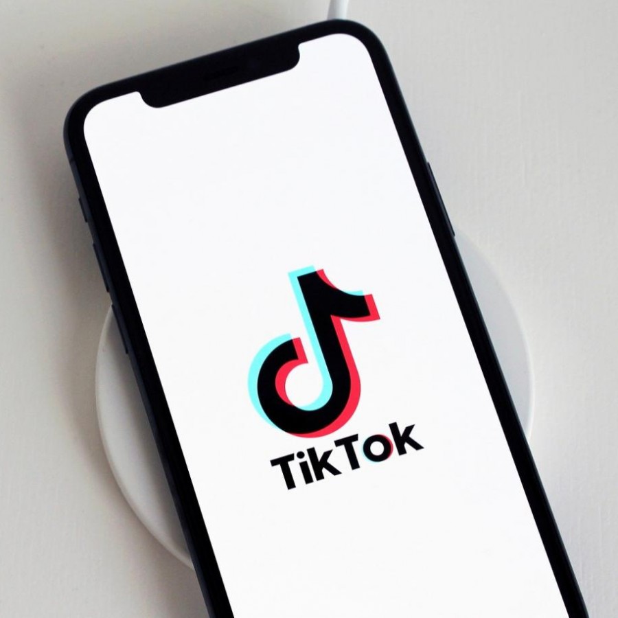 The+social+media+platform+TikTok+has+risen+to+fame+within+the+past+months%2C+as+well+as+the+creators+on+it.+Body+positivity+has+become+the+latest+trend+on+TikTok+with+creators+pushing+the+message+to+their+millions+of+followers.