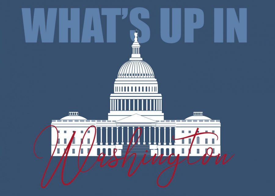 With the inauguration of Joe Biden, the new initiatives he plans to take, the impeachment of Donald Trump and the division in D.C., there are a myriad of events taking place in D.C. right now.