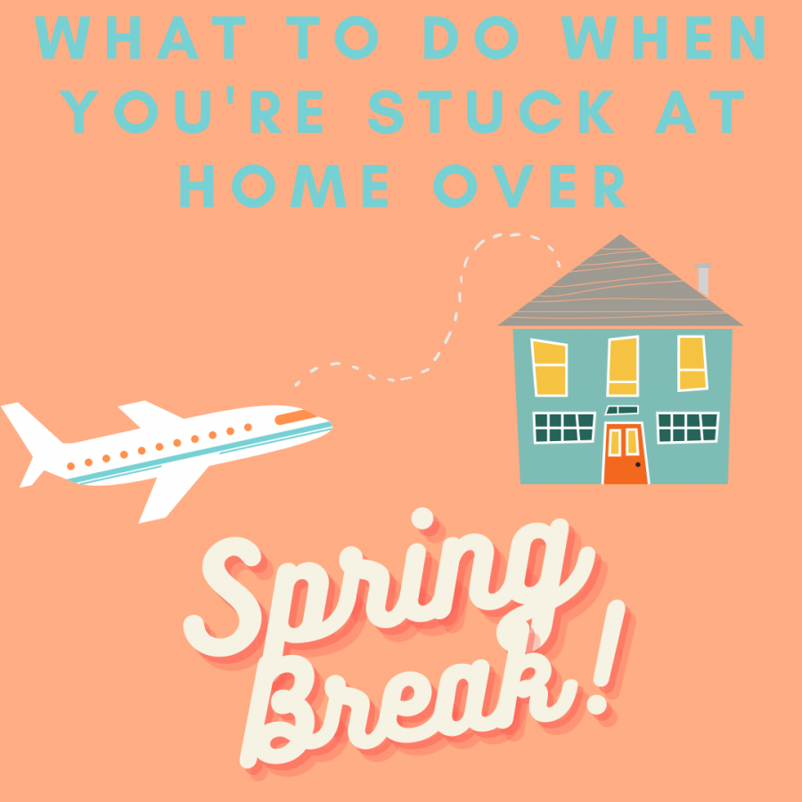 Staying at home for spring break can be boring, here are five ways to make it more fun!