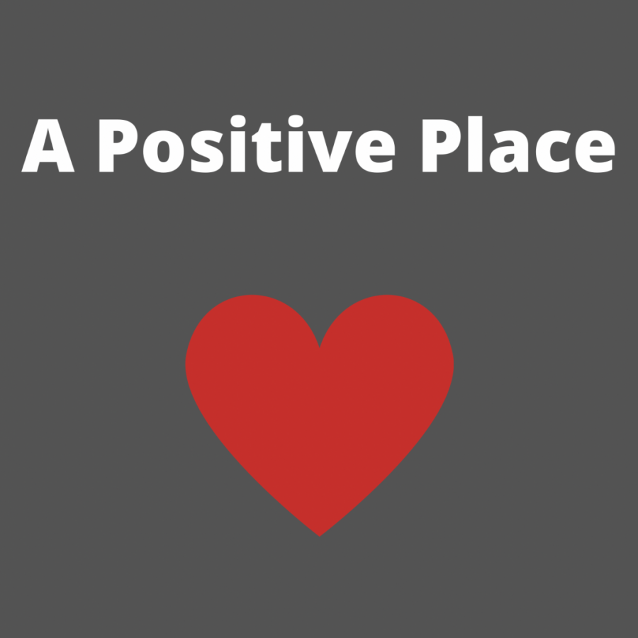A+Positive+Place+has+given+students+a+voice+in+diversifying+PV.