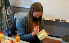 AP art student Raegan Stein has had a love for art her entire life, and in her classes at PV she has had the chance to portray her talents at a competitive level. 