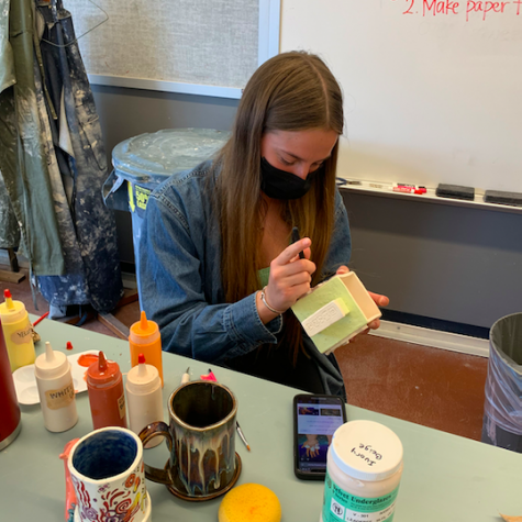 AP art student Raegan Stein has had a love for art her entire life, and in her classes at PV she has had the chance to portray her talents at a competitive level. 