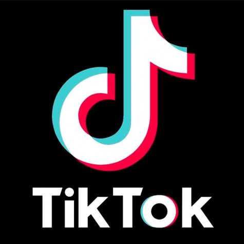 TikTok has been the platform for many up and coming social media influencers.