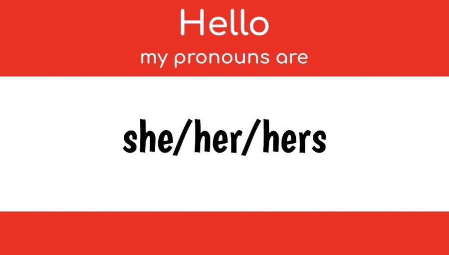 The sharing of pronouns has not yet been normalized in high schools. However, many universities have begun to make it more common by leaving spaces for students to clarify their pronouns on applications and when introducing themselves.