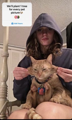 Senior Adelaide Wolfe posted an Instagram story of her cat Marmalade. 