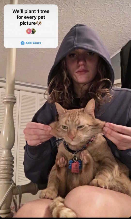 Senior+Adelaide+Wolfe+posted+an+Instagram+story+of+her+cat+Marmalade.+