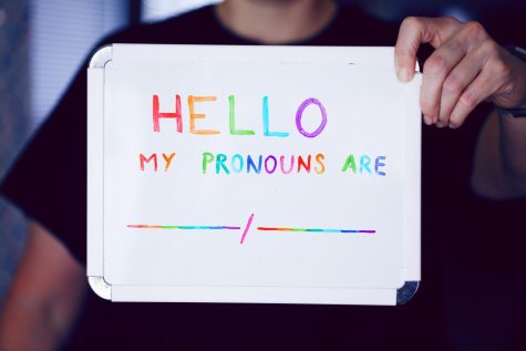 The addition of non-binary pronouns creates controversy within French’s masculine/feminine sentence structure.

