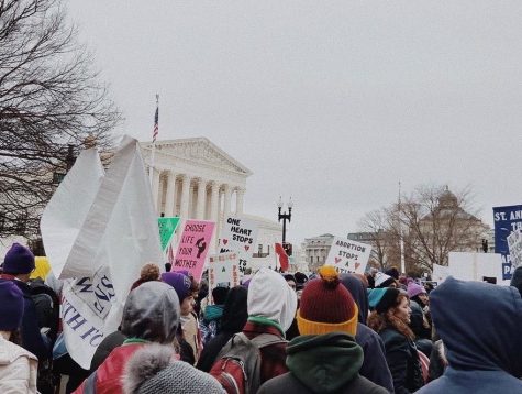 Senior Lily Dumas attends the annual March for Life in Washington, D.C.