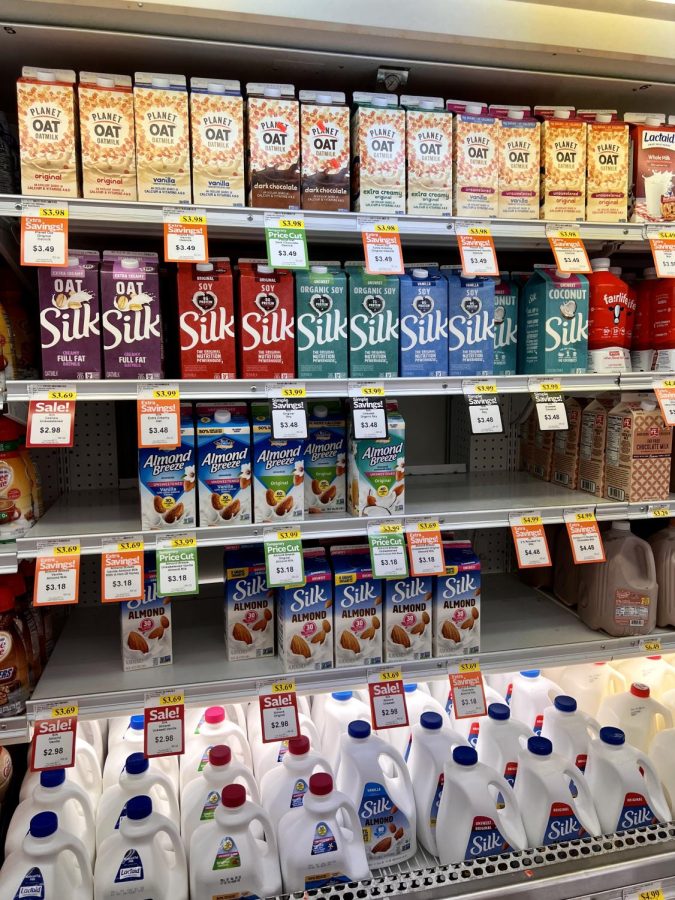 Local+grocery+stores+now+offer+various+types+of+milk+including+dairy+and+plant-based+milks.