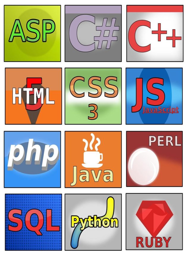 Various programming languages used for web development to robotics