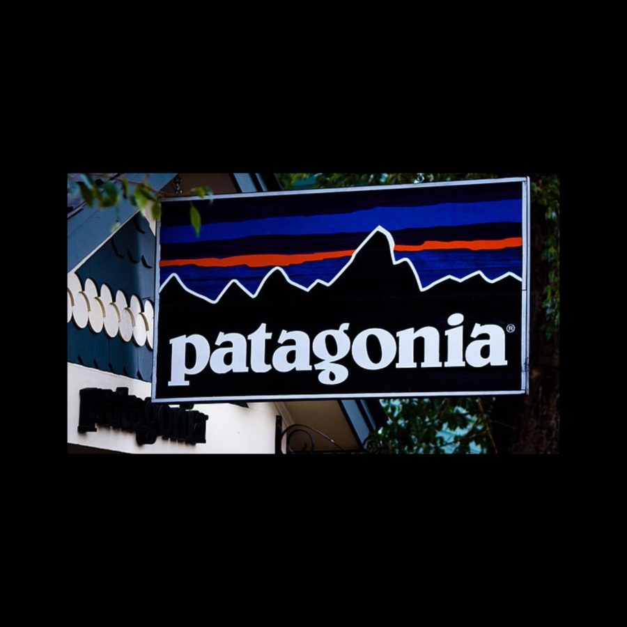 Patagonia turns over ownership to fight the climate crisis. 