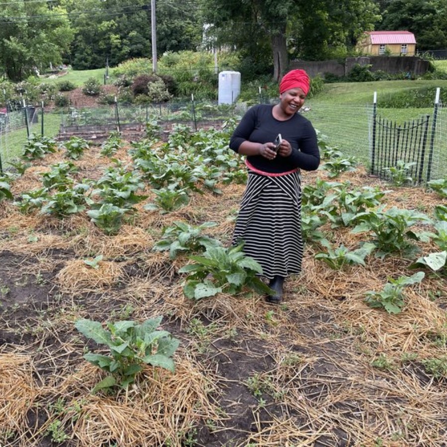 A Tapestry Farm employee tends to one of their seven urban farms.