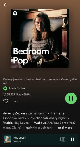 Spotify’s bedroom pop playlist contains songs by both well known and obscure artists, and has over 1 million likes.