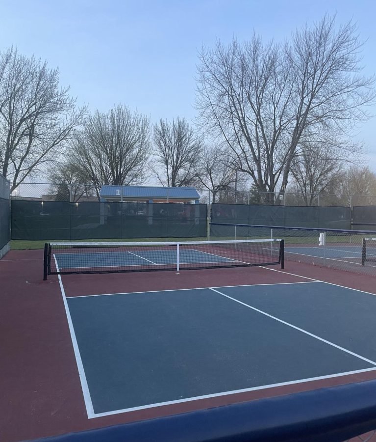 A group of pickleball courts at Paul Norton Elementary School in Bettendorf.