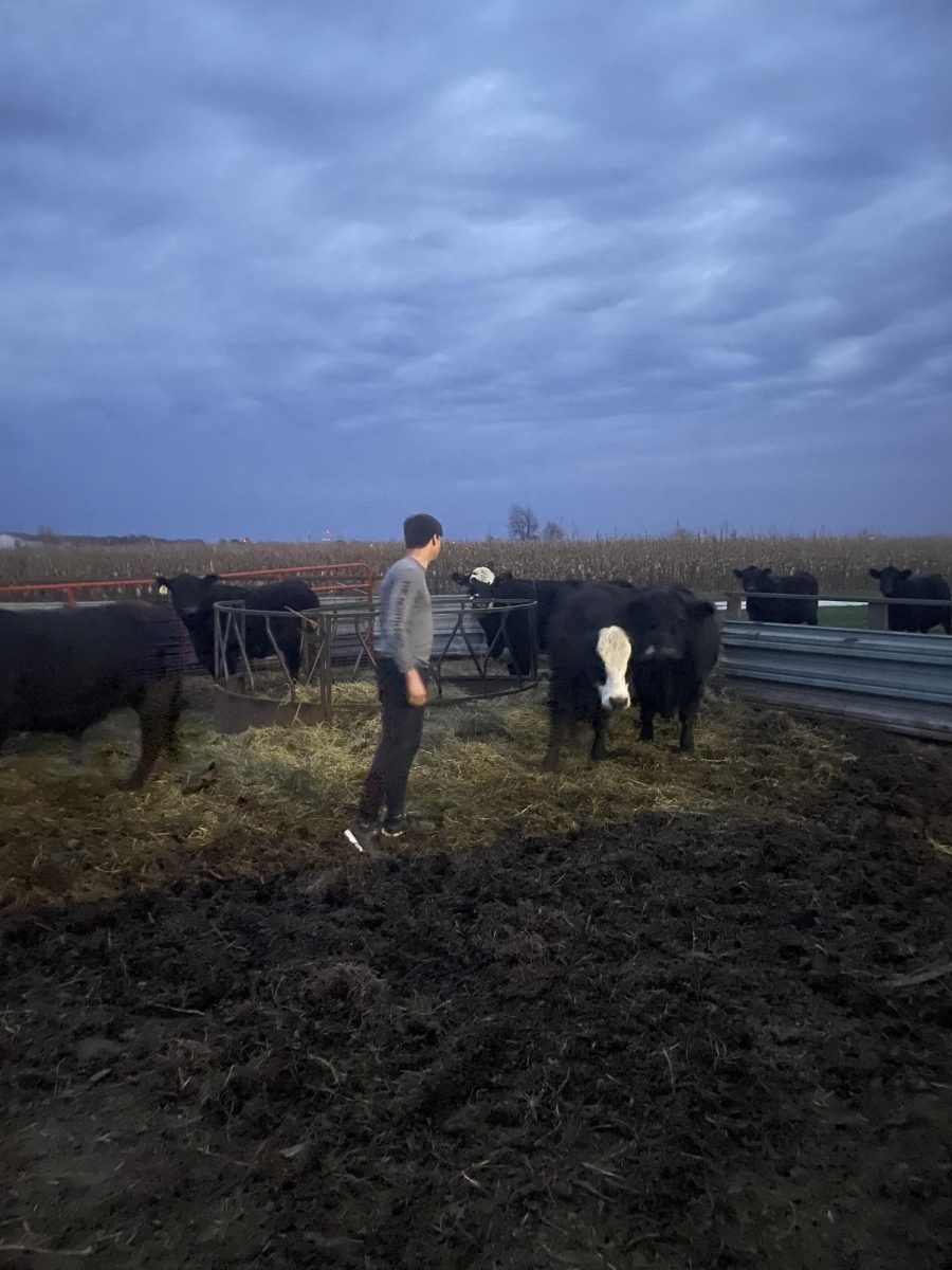 Senior Nathan Musal is among many farmers in the state of Iowa that might benefit from House File 317.