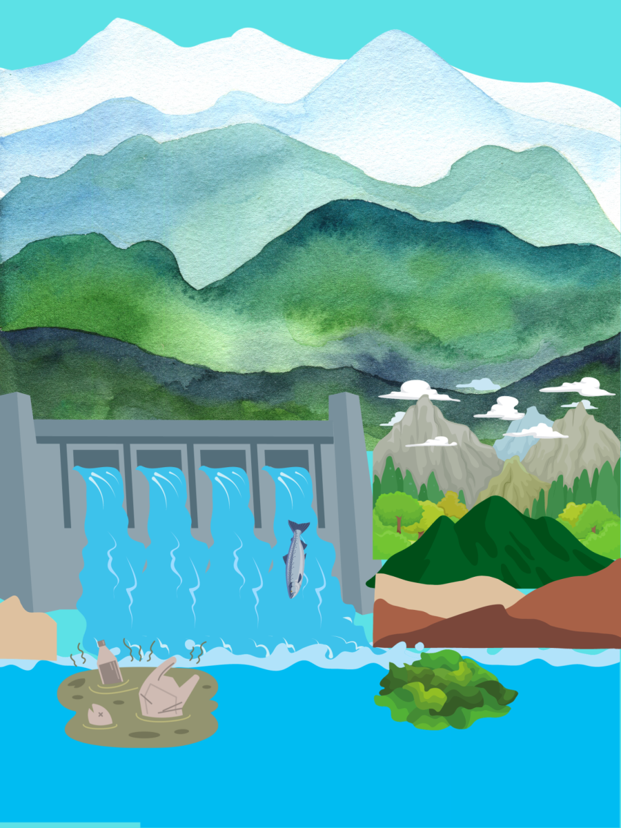 The Klamath dams are lowering the water quality and salmon population of the Klamath river.