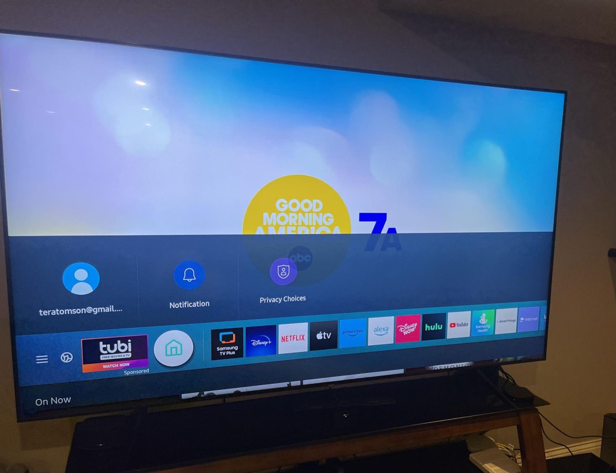 A Samsung smart TV displaying popular streaming services. Many new streaming services, like Disney+ and Peacock have sprung up in recent years.