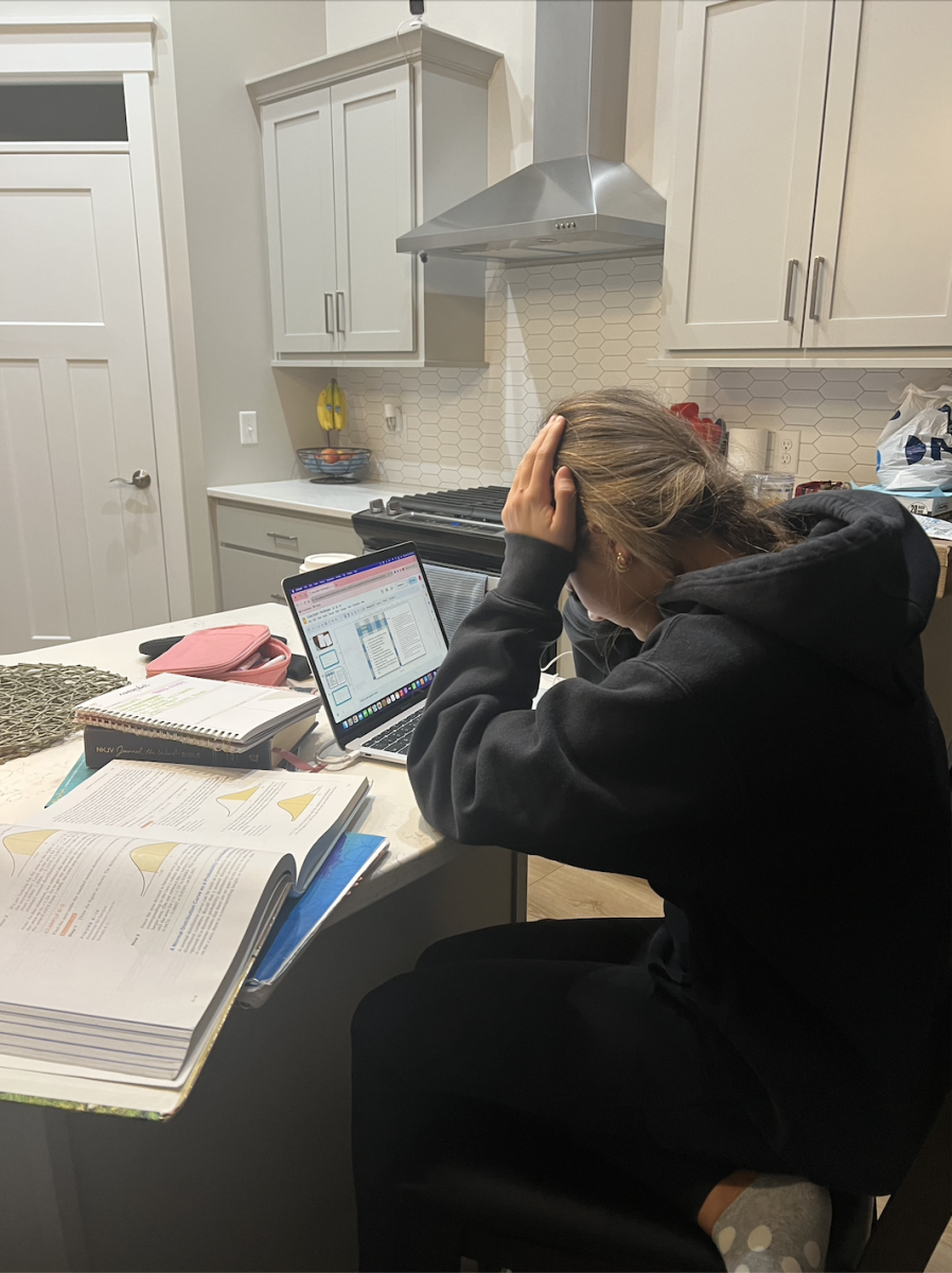 PV student feeling the pressure of academic validation while doing her homework.
