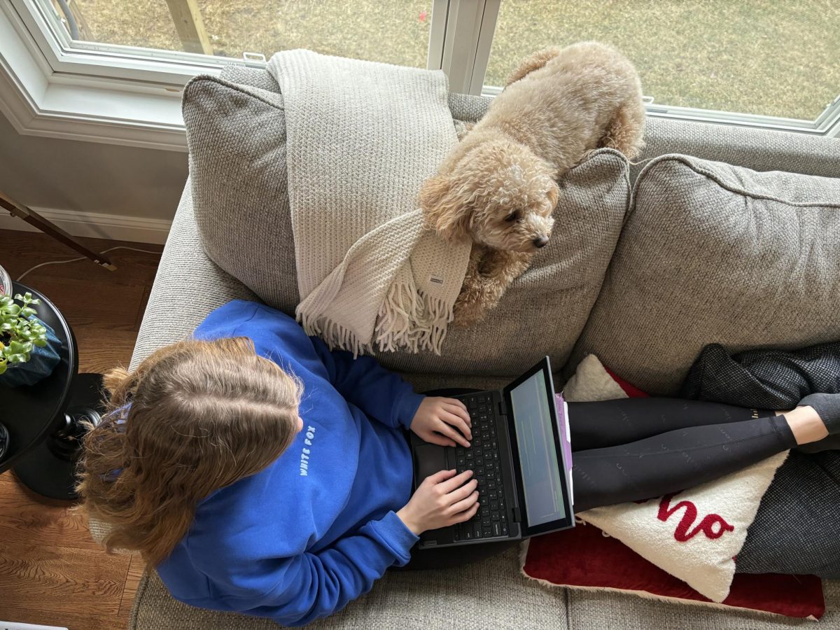 Eighth grader Sylvia Ziegelbein studies best when relaxing with her dog, Rosie.