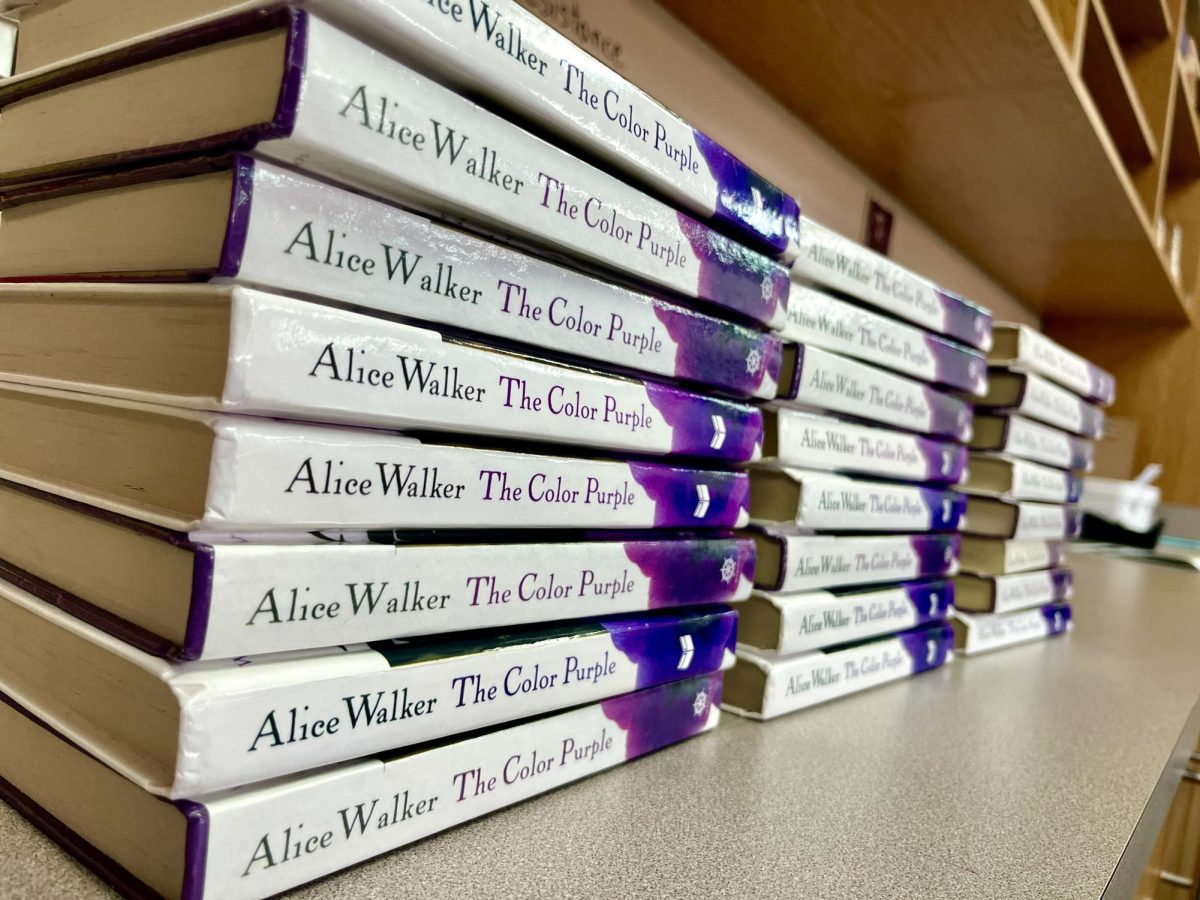 The injunction of SF 496 is allowing books like Alice Walkers The Color Purple, to return to classroom after previously being removed from curriculum.