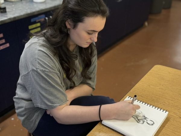 PV AP Art students complete prerequisites to ensure a fluency in art history and techniques, then spend class time completing a portfolio to submit to college board