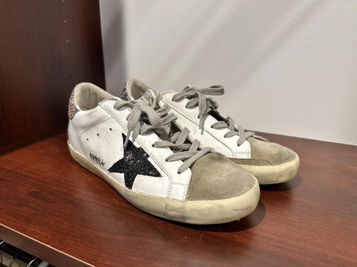 Consumers are paying over $600 for tattered-looking shoes during a new fashion trend called poverty chic. These Pleasant Valley student-owned Golden Goose shoes came with a price tag of $595.