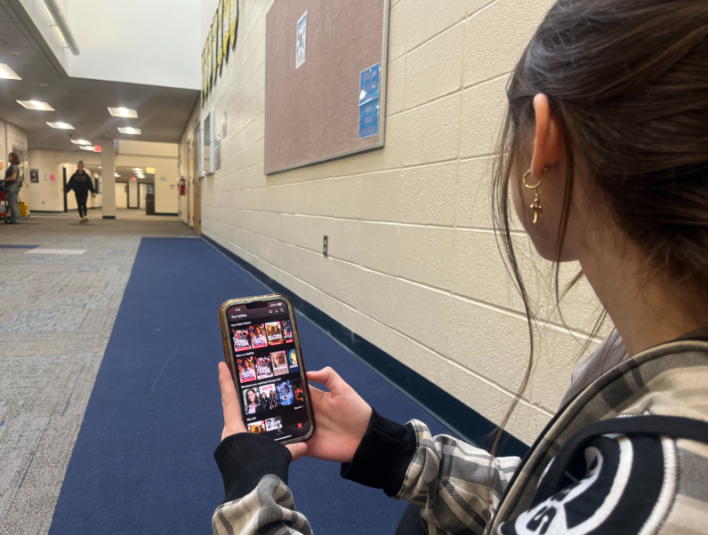 Student opens Netflix to browse possible content to watch.