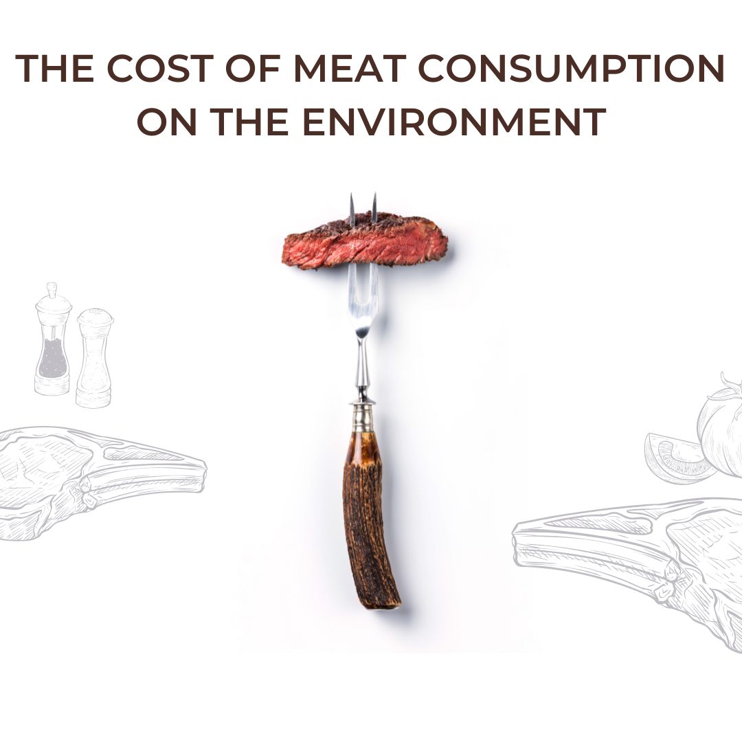 The consumption of meat has a great impact on the environment.
